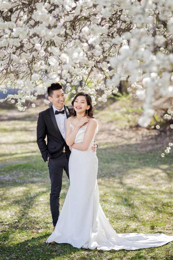 J&K: Fairytale New Zealand Pre-wedding by Fei on OneThreeOneFour 17