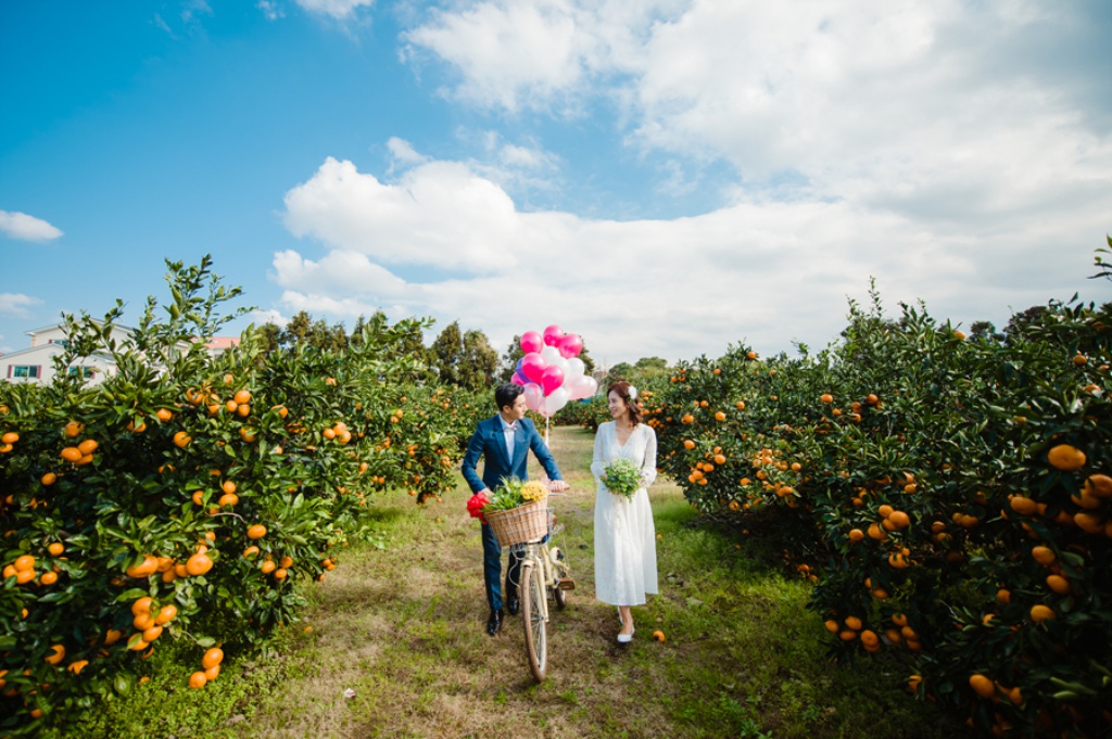 Korea Jeju Island Outdoor Pre-Wedding Photoshoot At Tangerine Farm  by Ray  on OneThreeOneFour 8