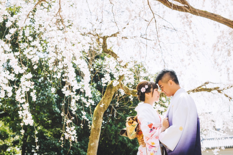 Japan Kyoto Kimono Photoshoot At Gion District During Cherry Blossom Season  by Shu Hao  on OneThreeOneFour 2