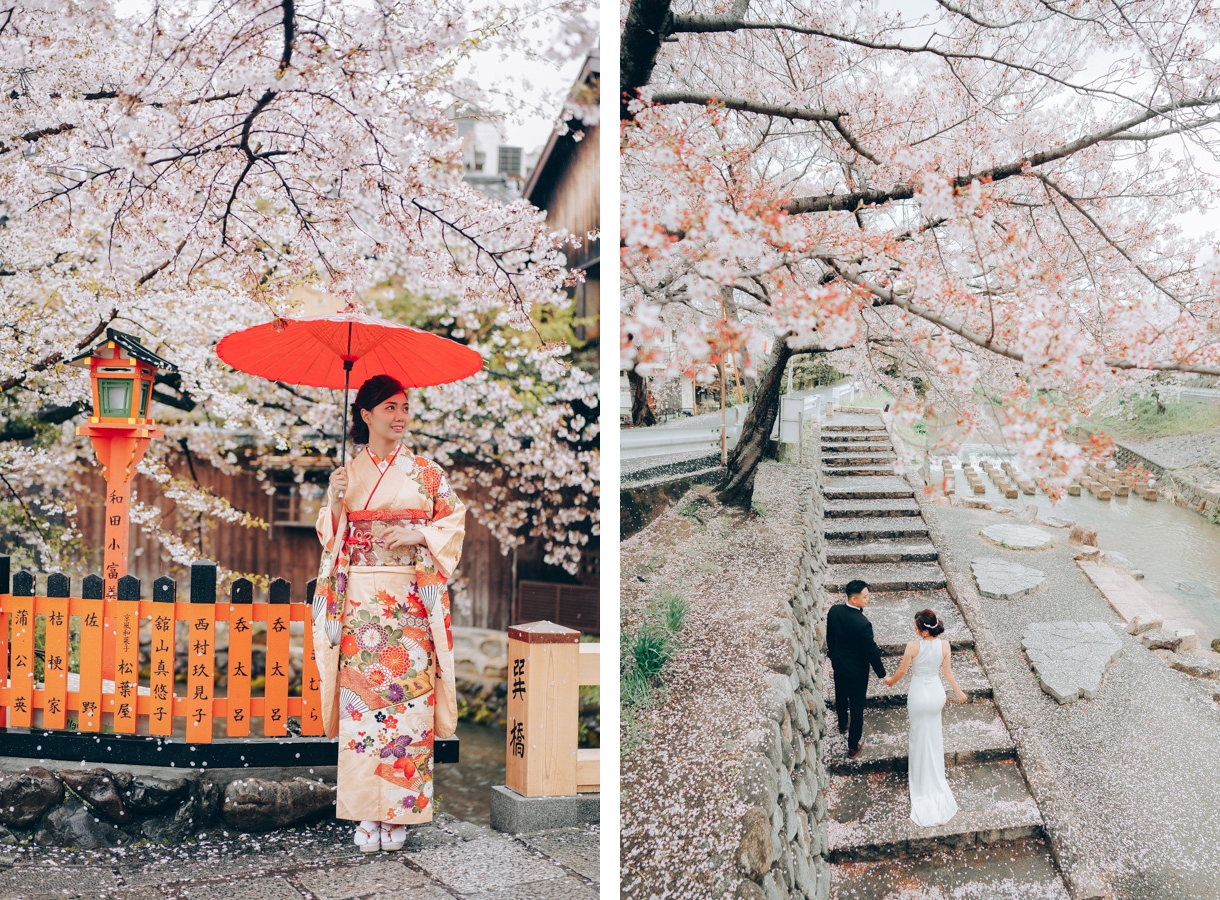 Japan Cherry Blossoms Hanami in Kimono with Nara Deer in Kyoto by Kinosaki on OneThreeOneFour 5