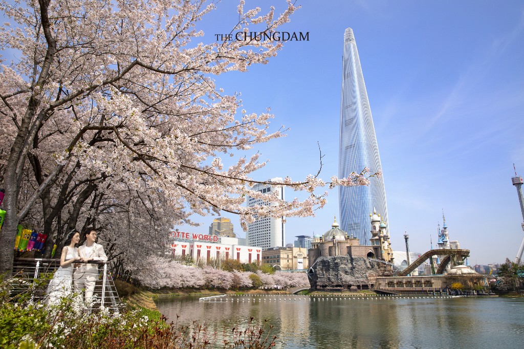 Chungdam Studio Cherry Blossoms Sample - Korean Pre-Wedding Studio by Chungdam Studio on OneThreeOneFour 21