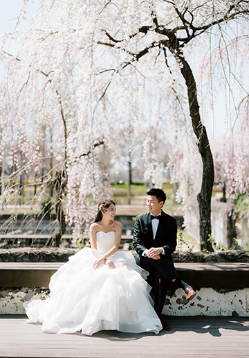Korea Cherry Blossom Pre-Wedding Photoshoot At Seonyudo Park With During Spring 