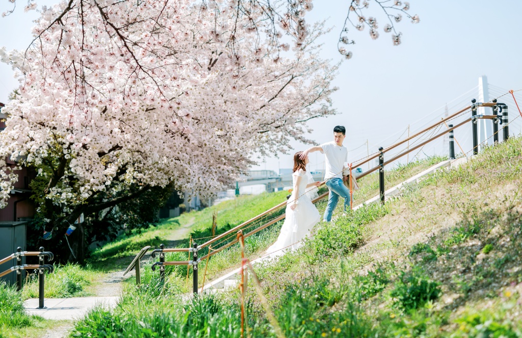 Japan Tokyo Pre-Wedding Photoshoot At The Park With Cherry Blossoms  by Jin on OneThreeOneFour 3