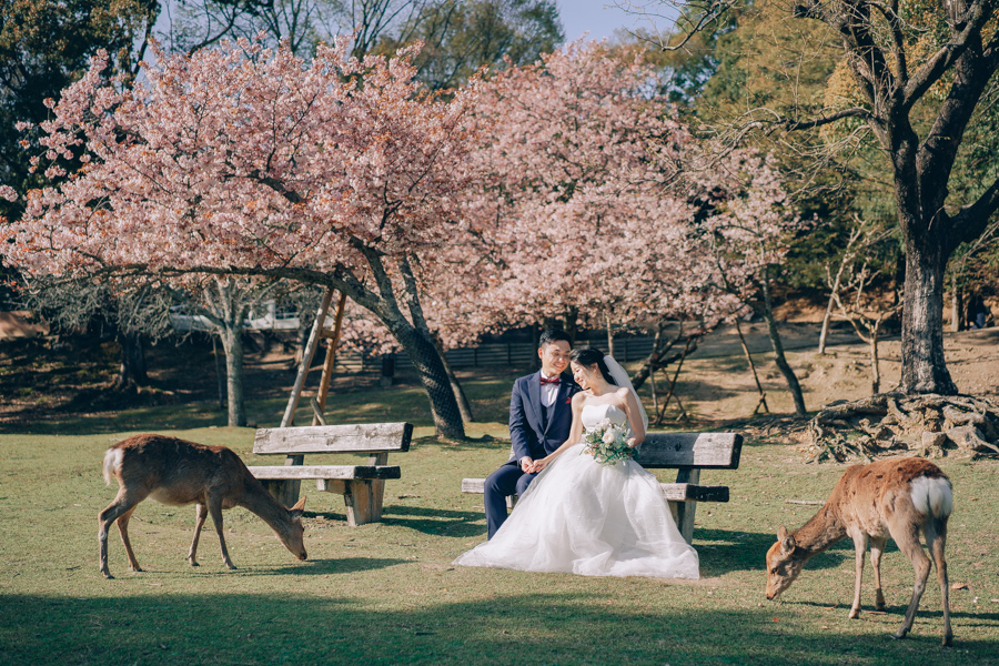 J&A: Kyoto Sakura Season Pre-wedding Photoshoot  by Kinosaki on OneThreeOneFour 32