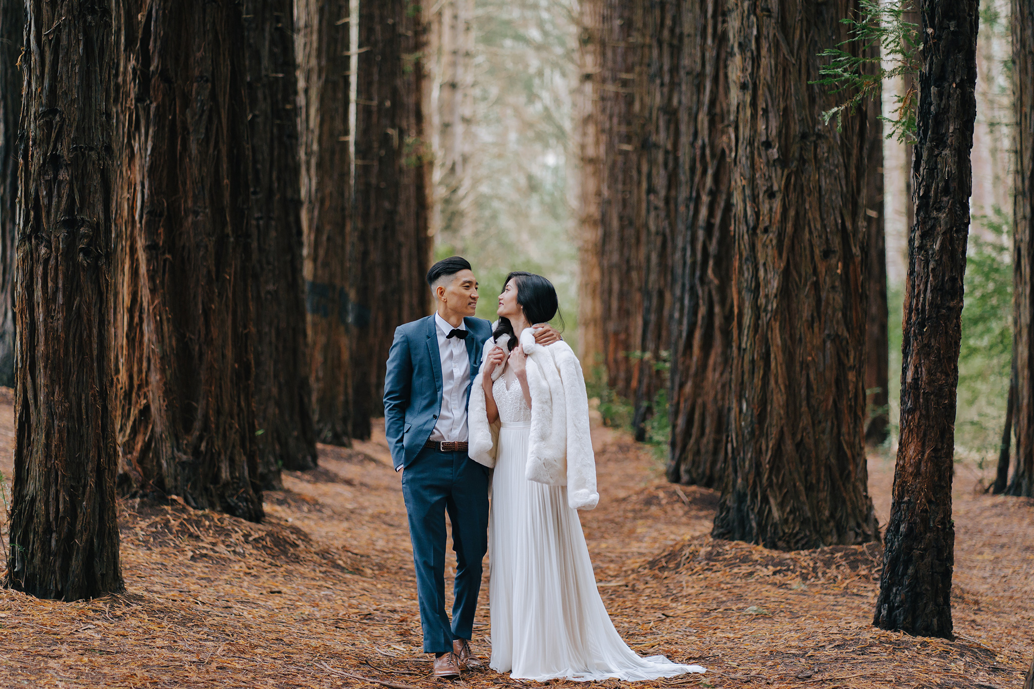 Melbourne Pre-Wedding Photoshoot in Royal Botanical Gardens & Redwood Forest by Freddie on OneThreeOneFour 28