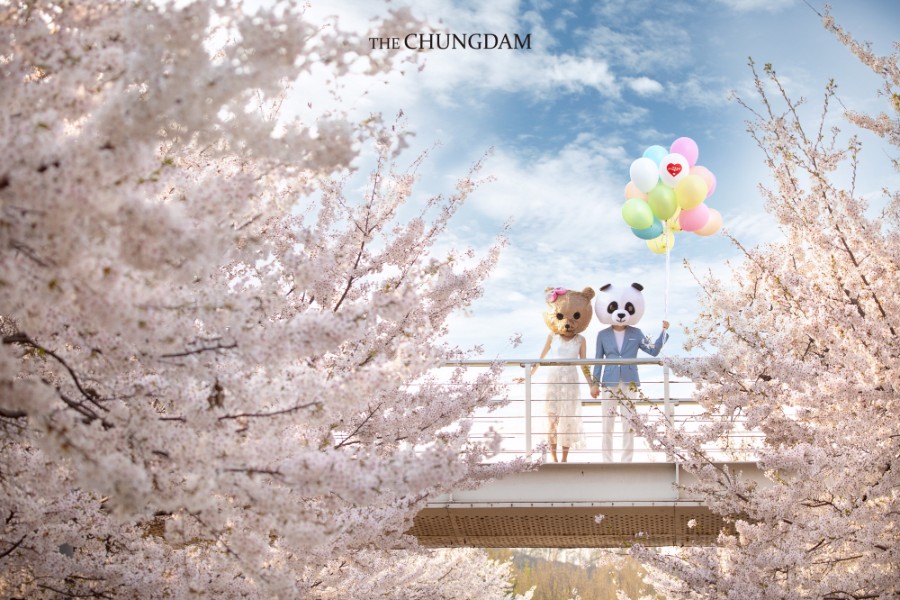 Chungdam Studio Cherry Blossoms Sample - Korean Pre-Wedding Studio by Chungdam Studio on OneThreeOneFour 4
