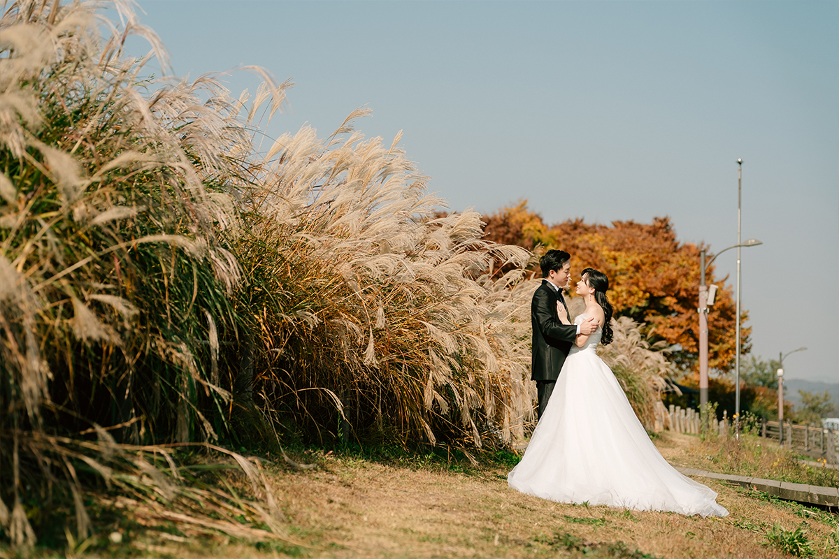 Korea Seoul Autumn Pre-Wedding Photoshoot with Silvergrass at Hanuel Park & Seonyudo Park by Jungyeol on OneThreeOneFour 6