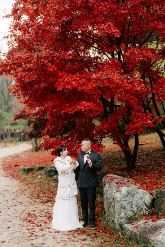 J&R Korea Outdoor Pre-wedding Photoshoot In Nami Island by Jungyeol on OneThreeOneFour 10