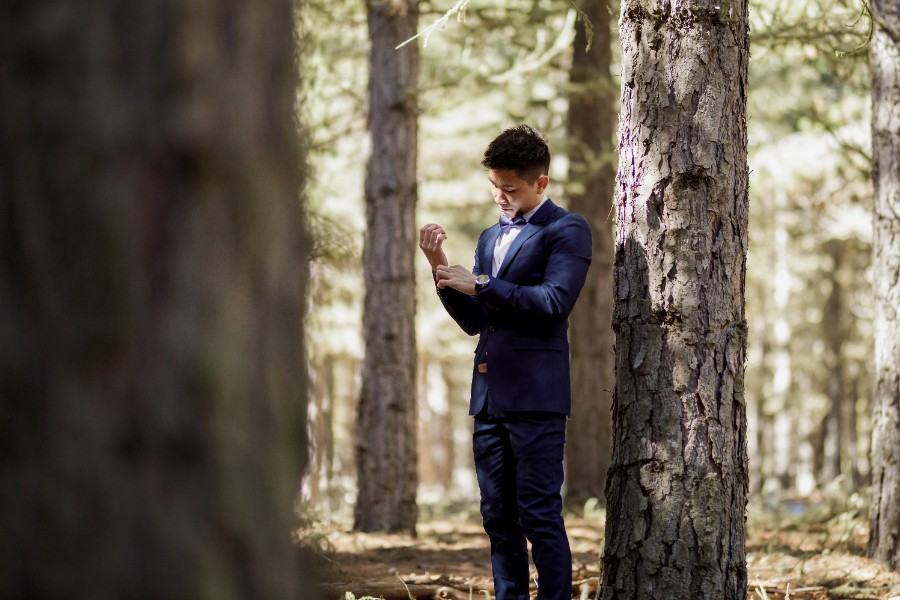 J&K: Fairytale New Zealand Pre-wedding by Felix on OneThreeOneFour 4