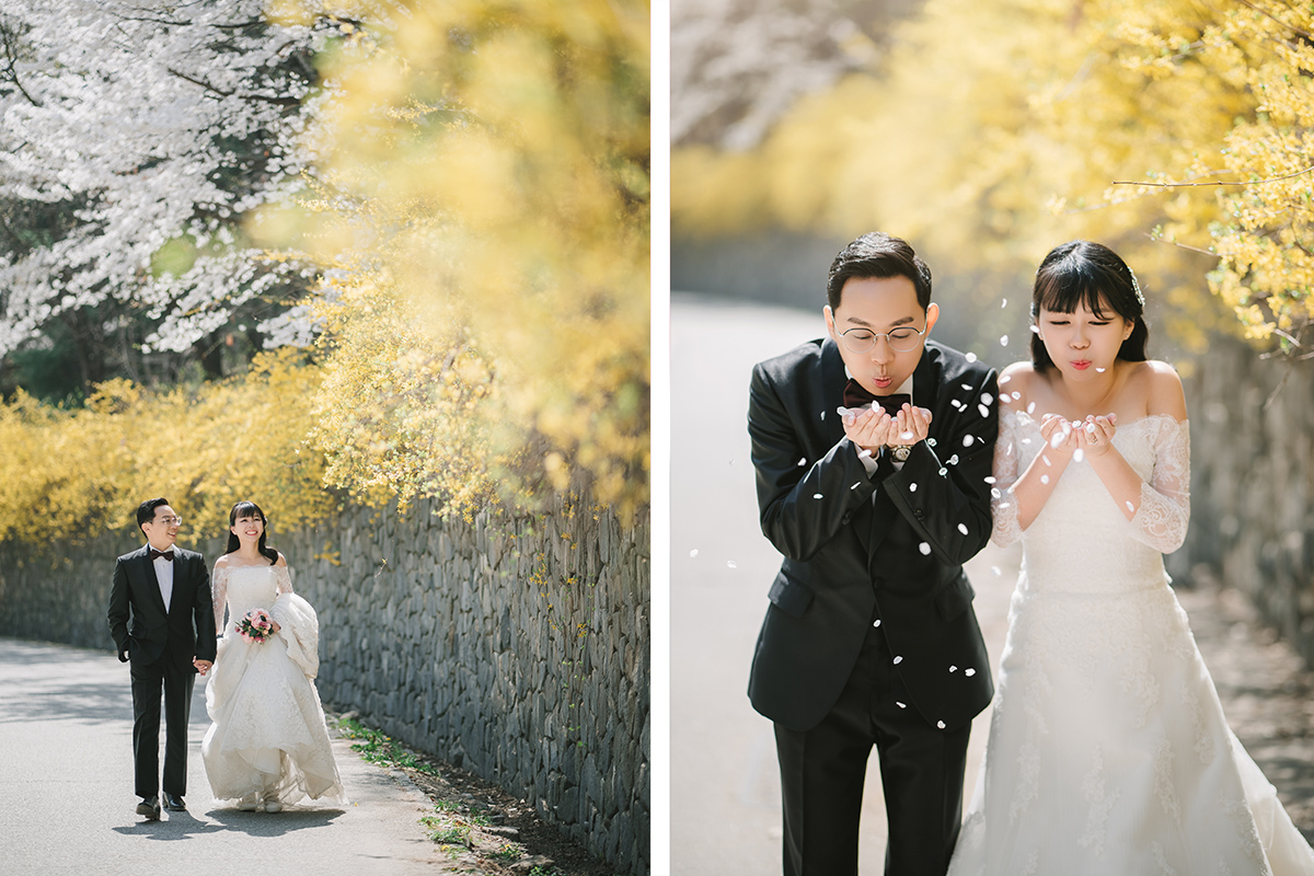 Celebrate Love in Full Bloom: Seoul Spring Pre-Wedding Photoshoot Experience by Jungyeol on OneThreeOneFour 1