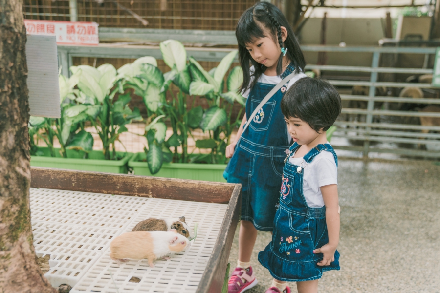 Taiwan Casual Family Photoshoot At An Animal Farm in Kaohsiung City by Star on OneThreeOneFour 9