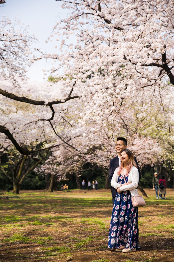 Japan Tokyo Surprise Proposal Photoshoot At Shinjuku Gyoen During Cherry Blossom Season by Koki on OneThreeOneFour 14