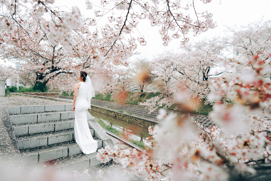 Japan Cherry Blossoms Hanami in Kimono with Nara Deer in Kyoto by Kinosaki on OneThreeOneFour 10