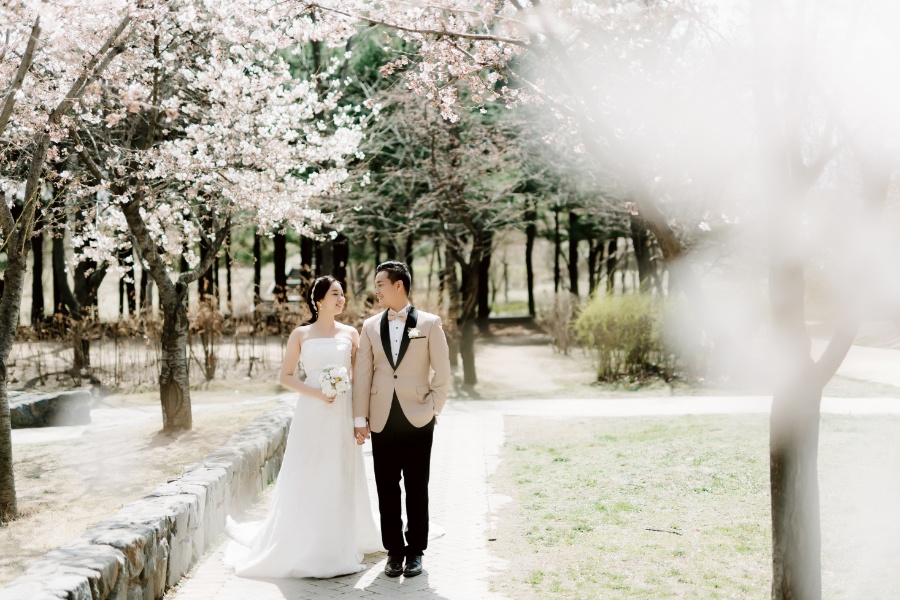 T&J: Korea Cherry Blossom Pre-wedding Photoshoot at Namsangol Hanok Village and Seoul Forest by Jungyeol on OneThreeOneFour 6