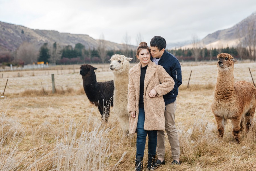 J&J: Magical pre-wedding in Queenstown, Arrowtown, Lake Pukaki by Fei on OneThreeOneFour 17