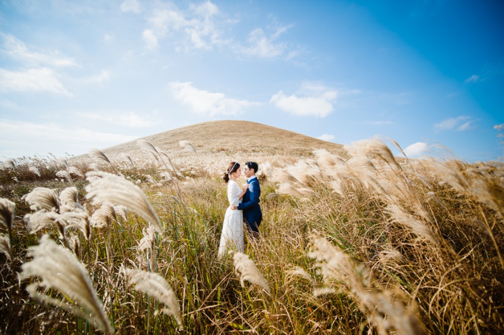 Korea Jeju Island Pre-Wedding Photoshoot With Silver Grass During Autumn  by Ray on OneThreeOneFour 3