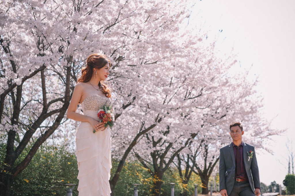 Korea Cherry Blossom Pre-Wedding Photoshoot At Seoul Forest  by Beomsoo on OneThreeOneFour 10