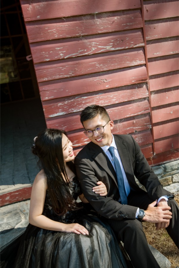 New Zealand Starry Night Prewedding Photoshoot with Alpaca Farm  by Mike on OneThreeOneFour 31