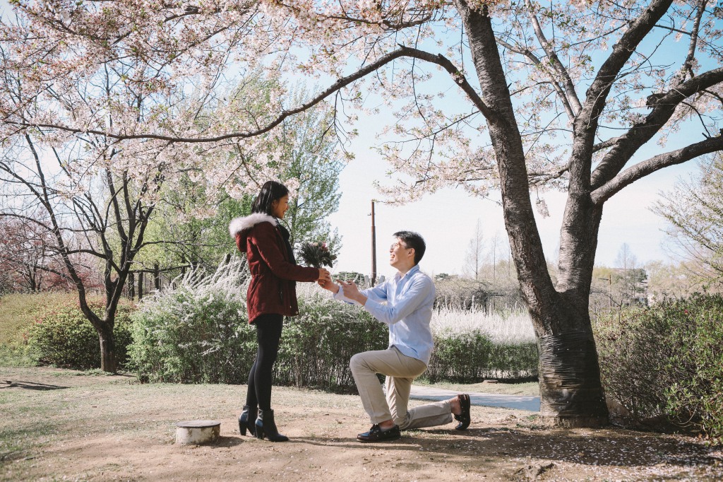 Korea Surprise Wedding Proposal Photographer - Photoshoot At Seonyudo Park  by Beomsoo  on OneThreeOneFour 0
