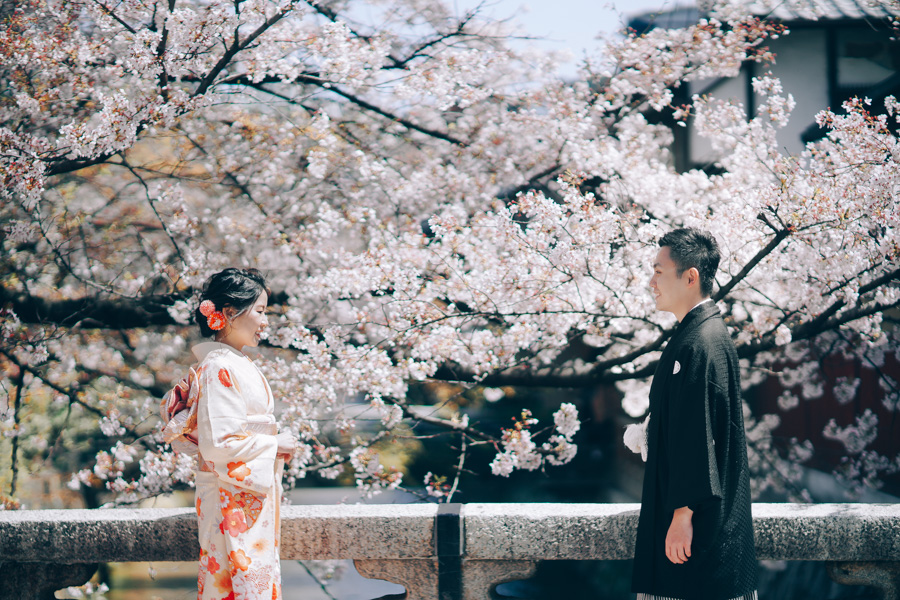 J&A: Kyoto Sakura Season Pre-wedding Photoshoot  by Kinosaki on OneThreeOneFour 2