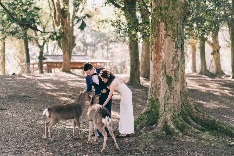 Japan Pre-Wedding Photoshoot At Nara Deer Park  by Jia Xin  on OneThreeOneFour 5