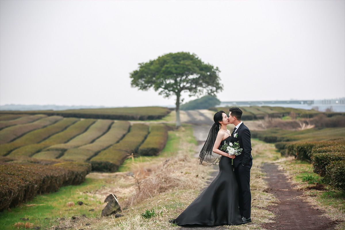 Captivating Moments: Pre-Wedding Photoshoot at Jeju Island's Isidore Farm, Famous Lone Tree, and Enchanting Beach by Byunghyun on OneThreeOneFour 3