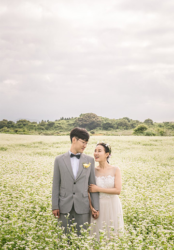 Korea Outdoor Pre-Wedding Photoshoot At Jeju Island with Buckwheat Flower and Hydrangea