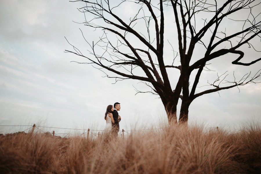 B & H - Singapore Outdoor Pre-Wedding at Jurong Lake Gardens & Back Alleys by Chan on OneThreeOneFour 2