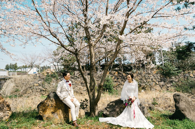 Korea Jeju Island Pre-Wedding Photoshoot During Spring by Gamsung on OneThreeOneFour 17