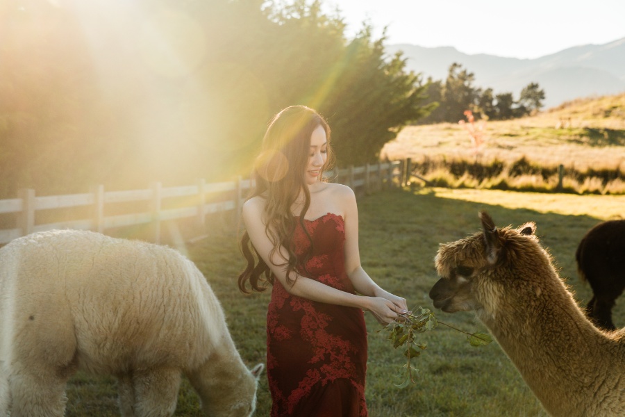 A&D: New Zealand Pre-wedding Photoshoot in Autumn by Felix on OneThreeOneFour 26