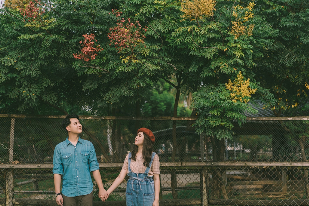 Taiwan Pre-Wedding Photoshoot Pier Blue Skies Animal Farm Flamingos Capybaras Llamas Autumn Leaves by  on OneThreeOneFour 27