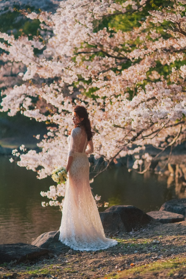 櫻花季節就要到日本京都祇園和奈良公園去看一看！ by Kinosaki  on OneThreeOneFour 16