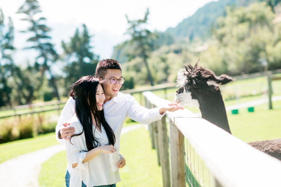 New Zealand Starry Night Prewedding Photoshoot with Alpaca Farm  by Mike on OneThreeOneFour 38