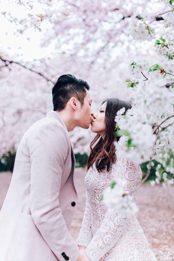 Japan Tokyo Casual Couple Honeymoon Photoshoot At Shinjuku Gyoen During Cherry Blossom Season by Lenham on OneThreeOneFour 1