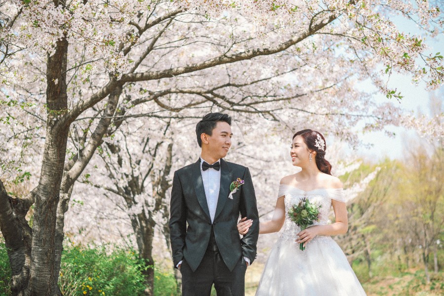 M: Korea Cherry Blossom Pre-Wedding Photoshoot At Seoul Forest With During Spring by Beomsoo  on OneThreeOneFour 12