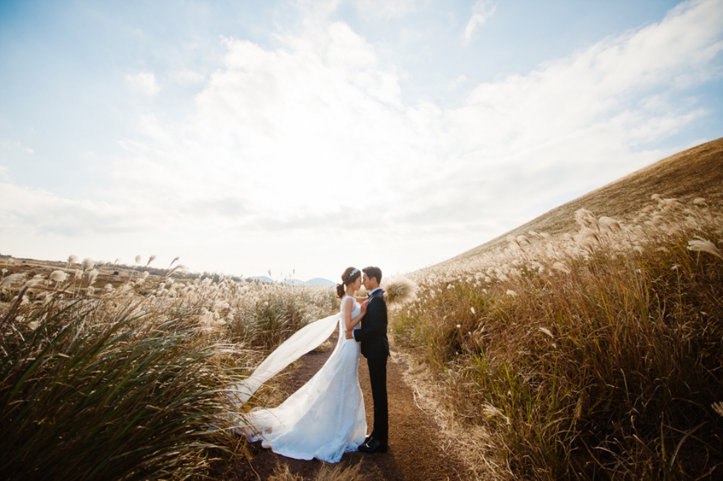 Korea Jeju Island Pre-Wedding Photoshoot With Silver Grass During Autumn  by Ray on OneThreeOneFour 11