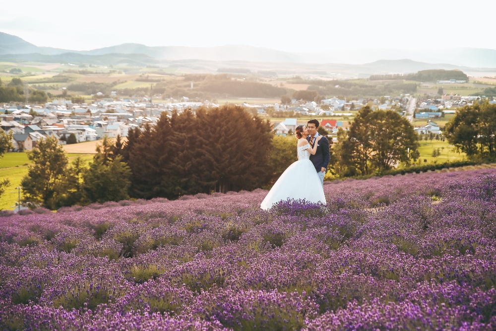 Hokkaido Pre-Wedding Photographer: Summer Photoshoot At Shikisai No Oka Alpaca Farm And Hinode Park Lavender Field by Kouta on OneThreeOneFour 30
