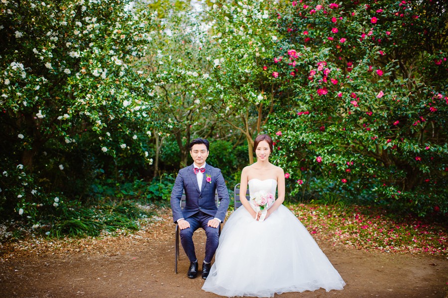 Jeju Island Pre-Wedding Photography in Camellia Hill by Ray on OneThreeOneFour 18