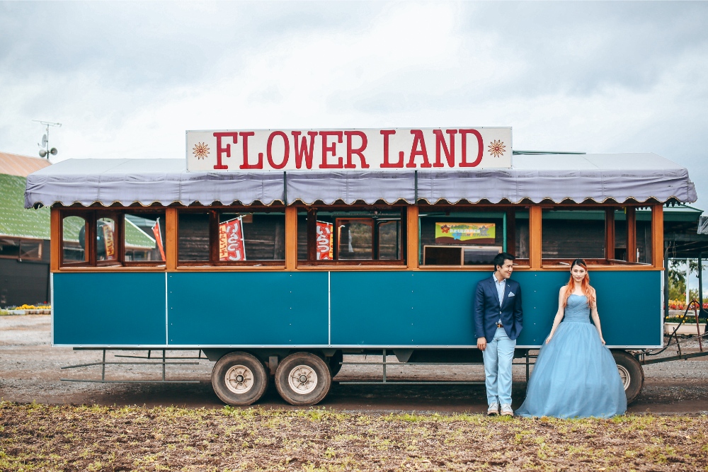 Hokkaido Pre-Wedding Photographer: Summer Photoshoot At Shikisai No Oka Alpaca Farm And Hinode Park Lavender Field by Kouta on OneThreeOneFour 17