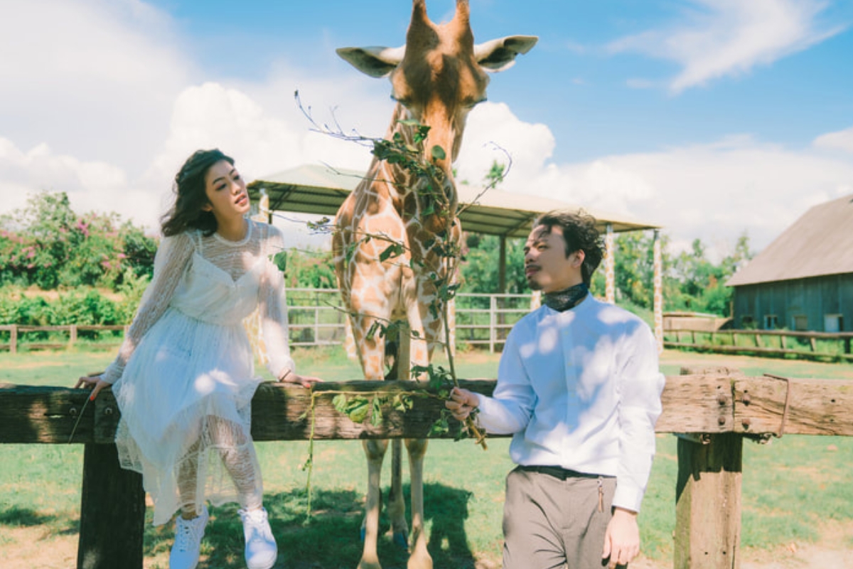 Taiwan Pre-Wedding Photoshoot Zoo Vintage Couple Outfit Streets Retro Vibes by  on OneThreeOneFour 2