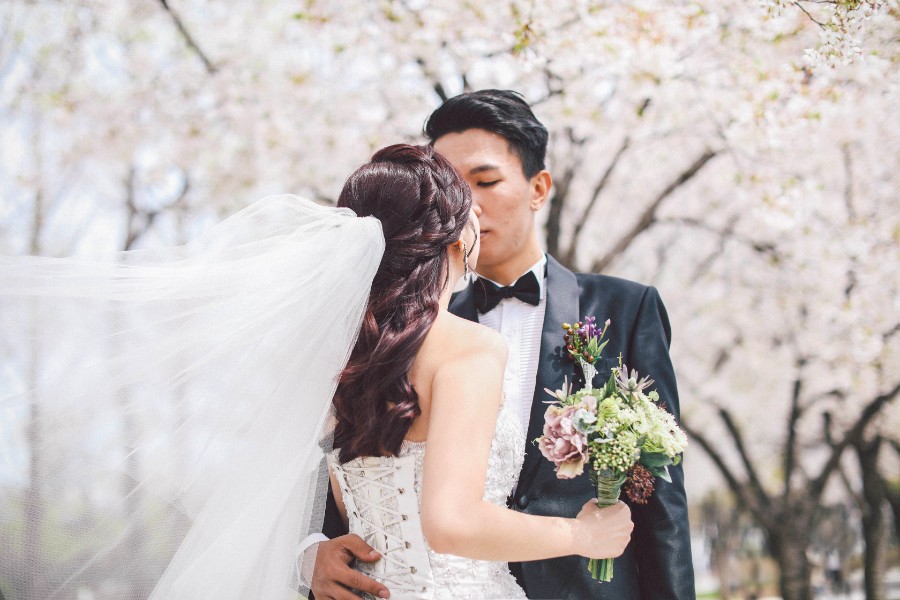 M: Korea Cherry Blossom Pre-Wedding Photoshoot At Seoul Forest With During Spring by Beomsoo  on OneThreeOneFour 17
