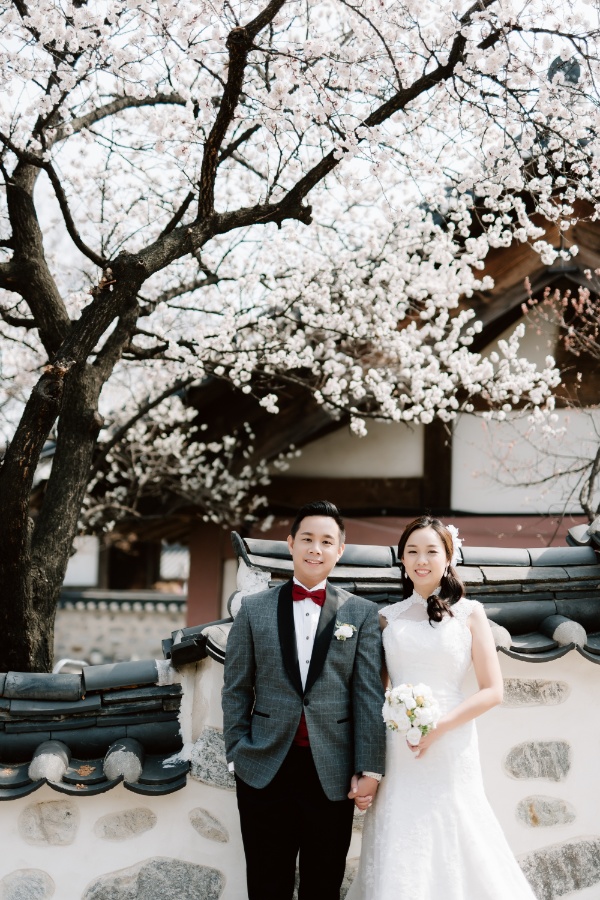 T&J: Korea Cherry Blossom Pre-wedding Photoshoot at Namsangol Hanok Village and Seoul Forest by Jungyeol on OneThreeOneFour 16