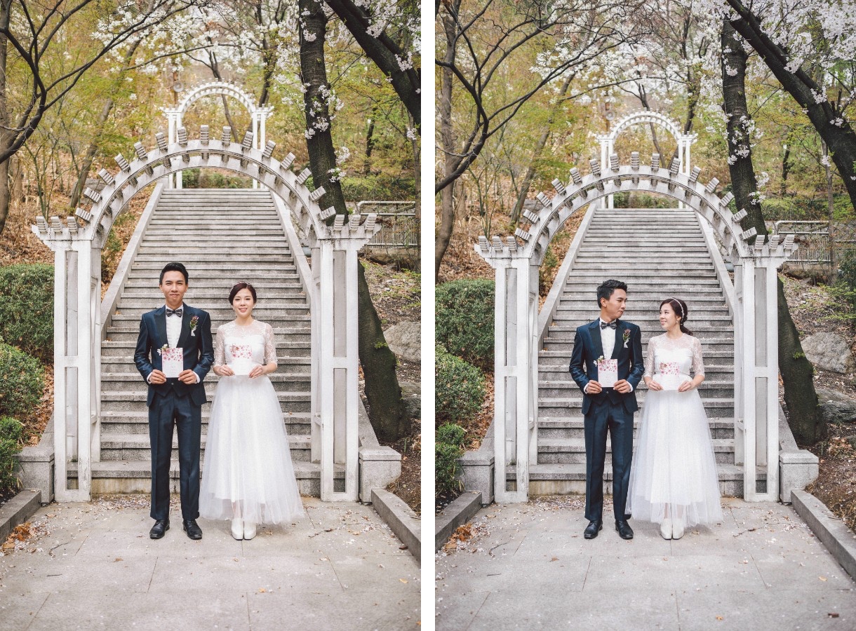 M: Korea Cherry Blossom Pre-Wedding Photoshoot At Seoul Forest With During Spring by Beomsoo  on OneThreeOneFour 20