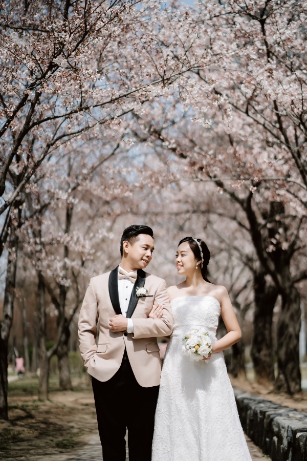 T&J: Korea Cherry Blossom Pre-wedding Photoshoot at Namsangol Hanok Village and Seoul Forest by Jungyeol on OneThreeOneFour 7