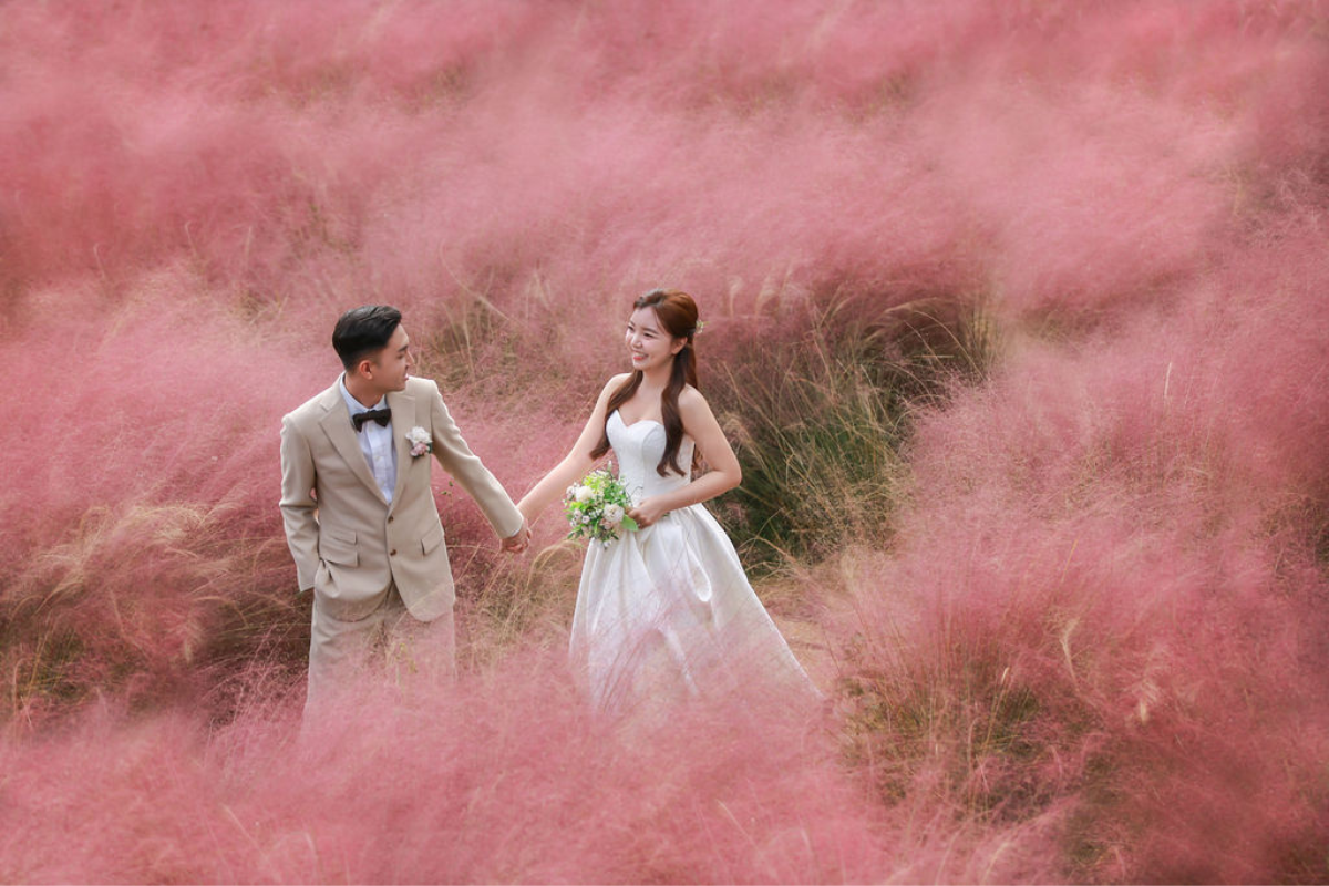 Jeju Autumn Prewedding Photoshoot At Jeju Manor Blanc, Pink Muhly Garden And Sanyi Forest Road by Byunghyun on OneThreeOneFour 1