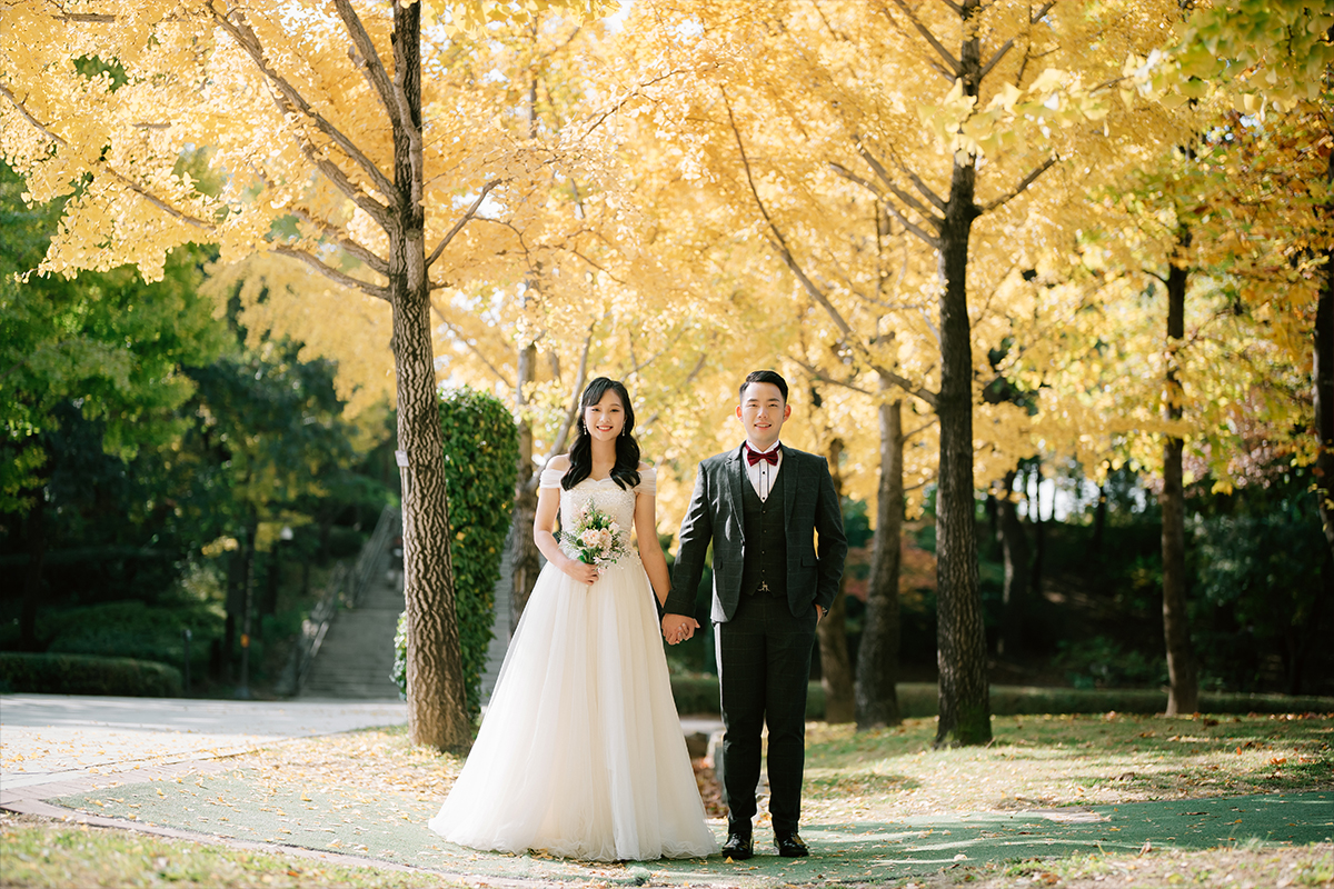 Yellow Gingko Autumn Pre-Wedding in Korea - Seoul Forest, Namsamgol Hanok Village & Samcheong-dong Cafe Street by Jungyeol on OneThreeOneFour 0