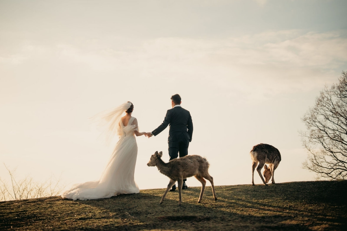 Kyoto Pre-Wedding Photoshoot with Eikando Temple, Kinosaki, Nara Deer Park & Mt. Wakakusa by Kinosaki on OneThreeOneFour 20