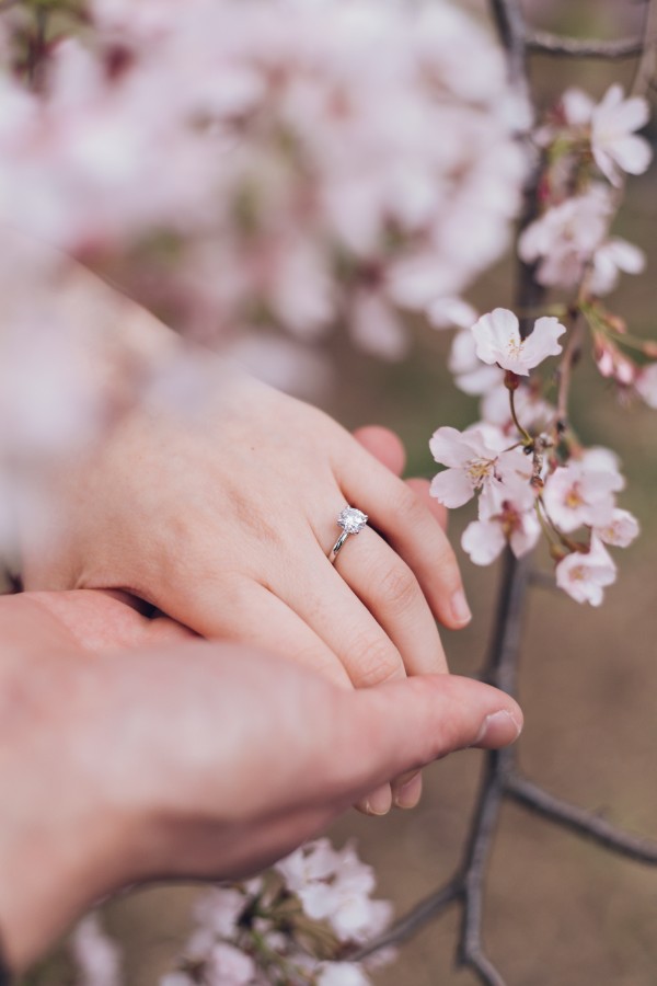 V&A: Cherry Blossom Proposal Photoshoot in Tokyo by Lenham on OneThreeOneFour 8