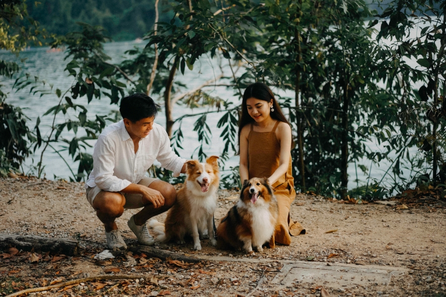 Singapore Pre-Wedding Photoshoot At Lower Peirce Reservoir With Puppies by Charles on OneThreeOneFour 14