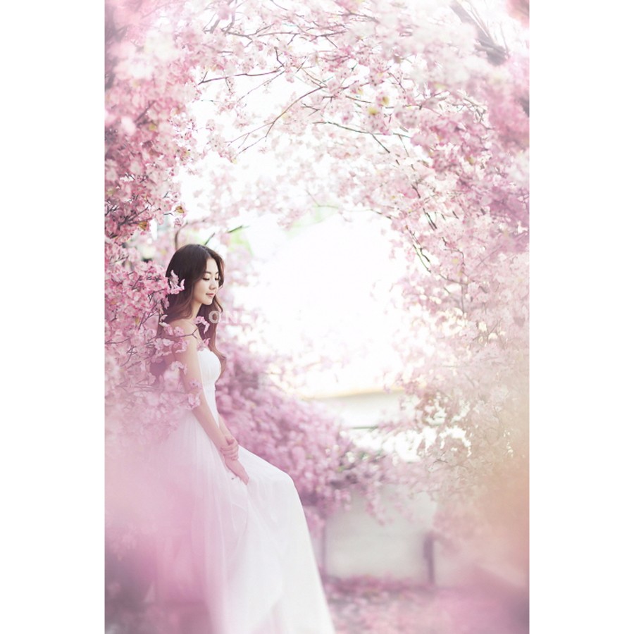 May Studio 2017 Korea Pre-wedding Photography - NEW Sample Part 1 by May Studio on OneThreeOneFour 6